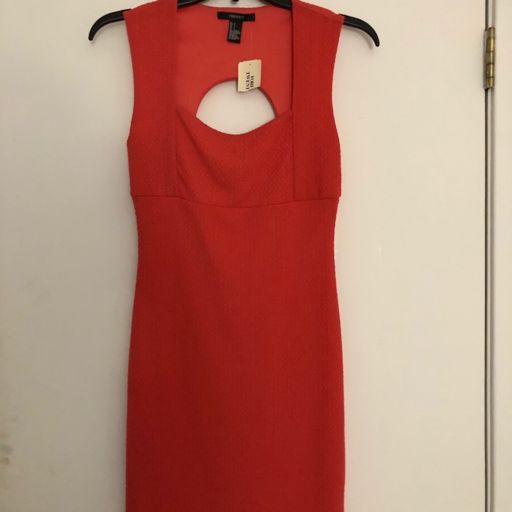 Forever 21 dress